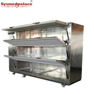 China Arabic Price 3 Doors Side Door Burial Cold Storage Mortuary Mortuary Body Cooler Cheap Style Freezer for sale