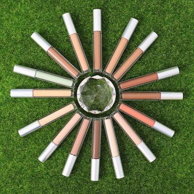 China 16 Colors Liquid Full Coverage Moisturizer Makeup Moisturizer Liquid Concealer Private Label for sale