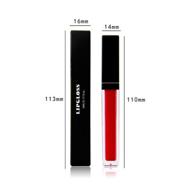 China Wholesale Private Label 44 Colors Waterproof Liquid Lip Gloss Matte Lip Gloss for sale