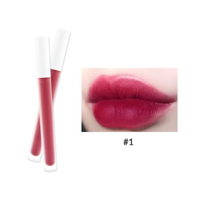 China Vegan Velvet Lip Gloss Waterproof Long Lasting Matte Private Label Liquid Matte Lip Gloss for sale