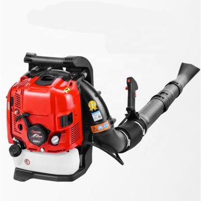 China 2000ml High Wind Power Fan King Blower EB986 Dapeng Four-Stroke Snow Blower for sale