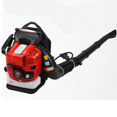 China Community Garden Hair Dryer Snow Blower 2 Stroke High Power Cleaning Snow Blower 2000ml for sale