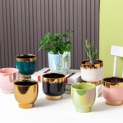 China CLASSIC colorful modern luxurious and meat ceramic flowerpots planting green plants indoor decorative flowerpots for sale