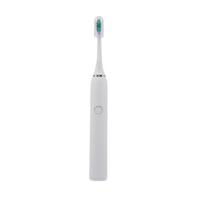 China Deep Cleaning Adult Teeth Whitening Care Electric Ultrasonic Toothbrush Cheap Nylon Electric Toothbrush for sale