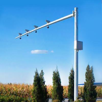 China Street 3 Year Warranty CCTV Camera Q235 Pole Light 3M-12m Lamp Post for sale