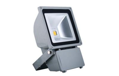 China Epistar impermeabiliza seguridad 100 accesorios de luces industriales de inundación del vatio LED 50HZ - 60HZ en venta