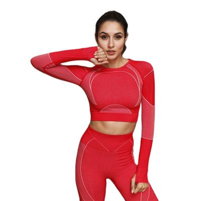 China Breathable Hot Sale Gym Fitness Workout Wear Clothing Sport Suit Long Sleeve Yoga Top For Women for sale