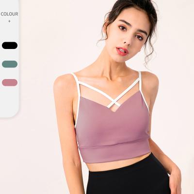 China Antibacterial hot running women of your own yoga bra lace design sports bra gym women sports bra for sale