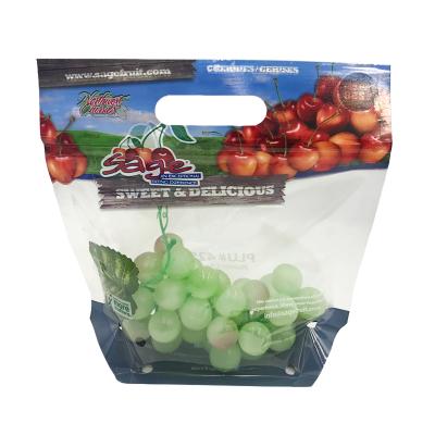 China China Factory Recyclable Supply Accept Custom Plastic Fruit Packaging Bag Grapes Packaging Bag for sale