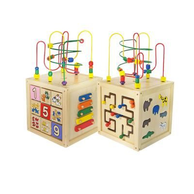 China Montessori Activity Wooden Cube Kids Educational Toys Multifunctional Preschool Learning Wooden Cube for sale