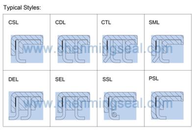 China Ceimin 100*130*12 MM CTLCCWBK PTFE Rotary Shaft Seal Shaft Seals For Air Compressor / Blender With Wear Resistance for sale