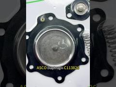 ASCO C113826 Replacement Repair Kit for ASCO 1 1/2″ Valve