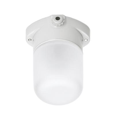 China Computer Control Panel Ceiling Mounted LED Sauna Light Fixture With Frosted Glass 60 W for sale