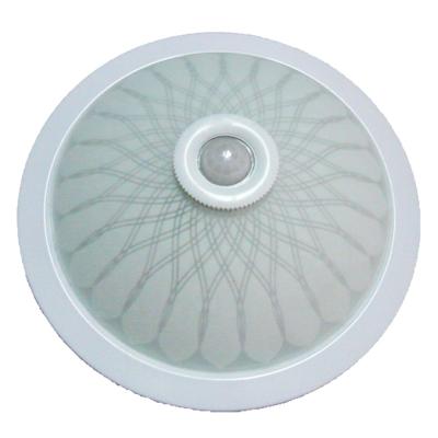 China Sports Stadiums PIR Lighting Hot Selling Motion Sensor Ceiling Light Indoor/Outdoor Battery Powered Outdoor LED Ceiling Mounted Lamp for sale