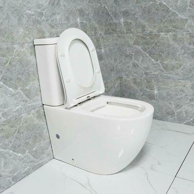 China Other Slow Down Ceramic European Sanitary Seat Cover Inodoro WC Ware Bathroom Style Two Piece Toilet for sale