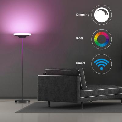 China Modern simple and modern lighting and circuit design remote control living room RGB led floor lamp South America sunset lamp with outdoor for sale