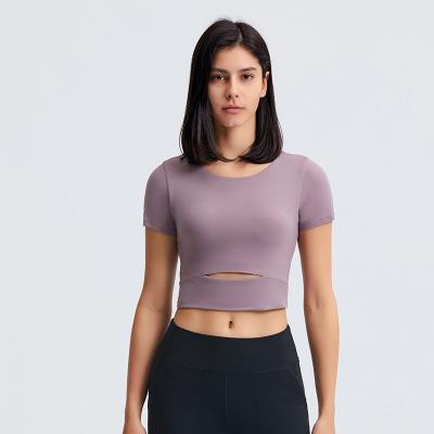 China Latest Arrival Breathable Ladies Sports Clothing Crop Top, Yoga Shorts T-shirt High Elastic Tank Top for sale