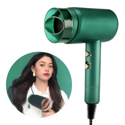 China PRITECH Salon Professional Ionic Diffuser Portable DC Moto Electric Hair Dryer for sale