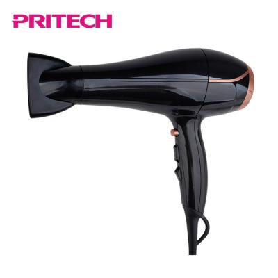 China Professional PRITECH DC Ionic Motor New Automatic Hair Blow Dryers for sale