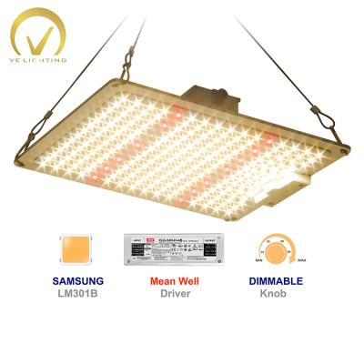 China Seed Starting Waterproof Wholesale Dimmable OEM Odm 100w 200w 400w 600w Factory Best Full Spectrum Led Grow Light for sale