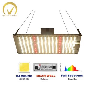 China Seed Seed Growing Horticulture 100w 200w 400w 600w Best Commercial Full Spectrum LED Plant Grow Light for sale