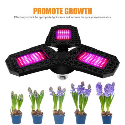 China Waterproof Efficient Heat Dissipation All Round Hydroponic Light For Indoor Veg And Flower LED Grow Light for sale