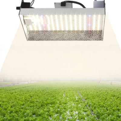 China Seed Starting IP65 Waterproof Hydroponic Greenhouse Plant Full Spectrum LED Reflector Hood Plant Growth Light for sale