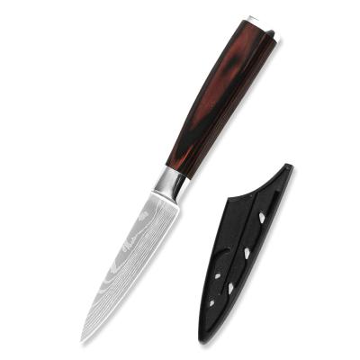 China XYj viable 3.5 inch peeling kitchen knife anti-corrosion German steel blade fruit knife with handle for sale