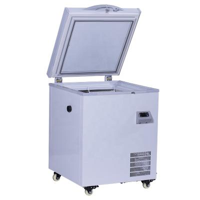 China Single-Temperature -80 Degree Horizontal Sea Fish Cryogenic Freezer For Fishing Pelagic Storage for sale