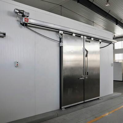 China Customized Container -25 Degree Freezer Commercial Cold Room For Food And Meat Storage for sale