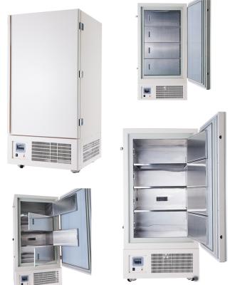 China Ultra Low Temperature Style Ult Meat Freezers Medium Upright Refrigerator 620*645*1570 Mm for sale