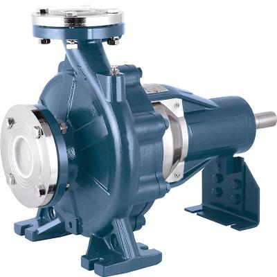 China Single Family Homes PS Series Bare Shaft Pump for Industrial and Irrigation from Yeschamp for sale