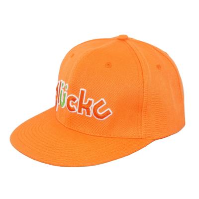 China COMMON Manufacturer Design Fashion Custom Color 6 Panel Embroidery Logo Unisex Snapback Cap Sports Cap for sale