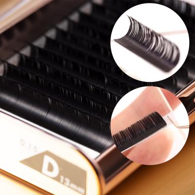 China Premium Gollee Bulk 4d Eyelash Extension Trays C Loop Fuller Effect Premium Eyelash Extensions Russian Classical Manufacturer for sale