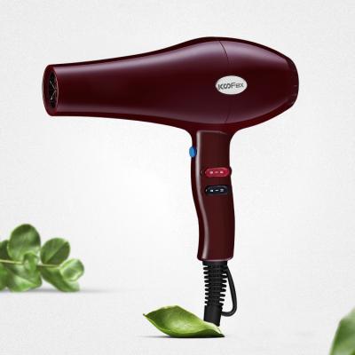 China Multifunctional AC 2600 Watt Blow Dryer , 50Hz Portable Travel Hair Dryer for sale