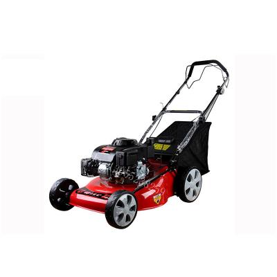 China 4-Stroke Aluminum Chassis LIVTER 19 Inch Hand Mower 5.5 HP Four Stroke Garden Trimmer Lawn Mower for sale