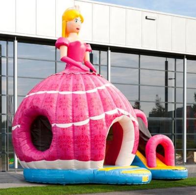 China The Most Popular PVC Bouncy Castles Fun Bouncy Princess for sale