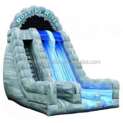 China Attractive PVC Roar 22 Double Inflatable Dry River Lane Slide for sale