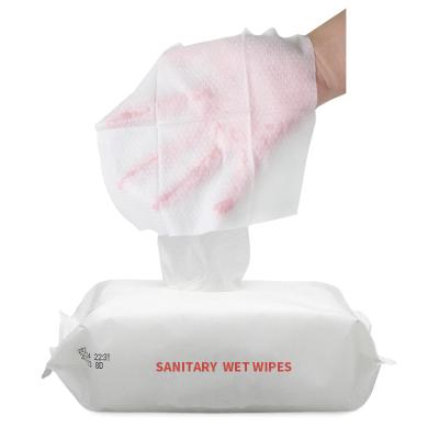 China Kill 99.99% Germs Individual Pack Wet Wipes Glass Cleaning Cloth Individually Wiped Baby Turkish Dog for sale