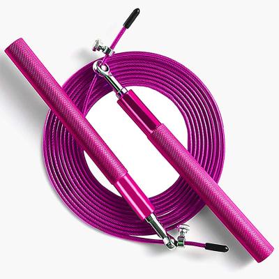 China Non-Smart Handle Aluminum Wire Rope Adjustable Custom Weighted Jump Rope for sale