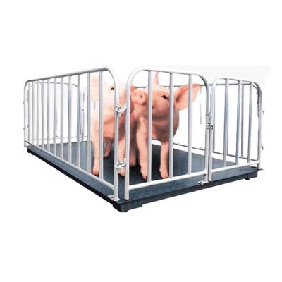 China Weighing Hot Sale Spray Paint Cattle Weight Scale For Cattle Cage Digital Weighing Scale for sale