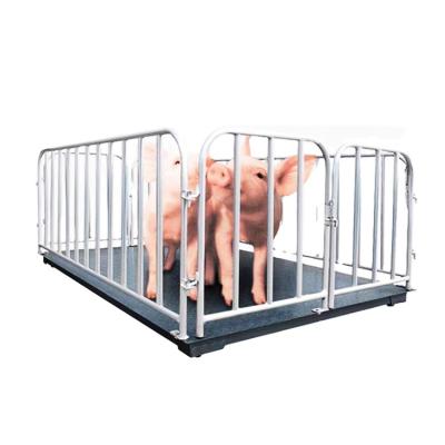 China Weighing Height Fence Weighing Floor Scale Electronic Animal Floor Livestock Scale for sale