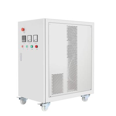 China 10g/Hr 300g/Hr Output Ozone Generator For Food Water Treatment for sale