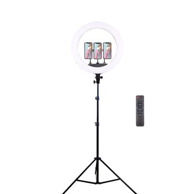 China Alloy+ABS Aluminum World Bestselling Selfie Ring Light Photography Makeup Tripod, 18 Inch Phone Led Ring Light With Phone Holder for sale