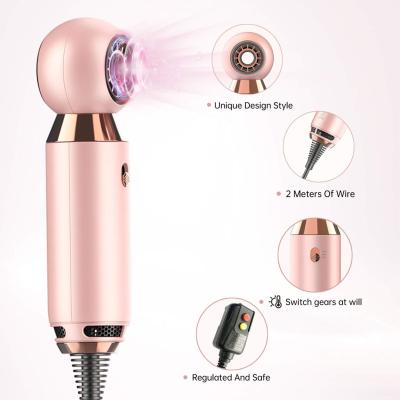 China 2020 New Arrival Hot Professional Ionic Hair Dryer Travel Size Lightweight Portable Hair Dryer For Travel Home Hotel for sale