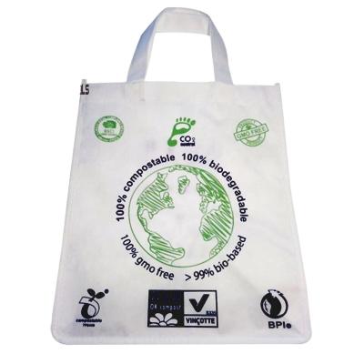 China Custom Shopping Nonwoven Bag Handled Logo Printed Eco Reusable Tote for sale