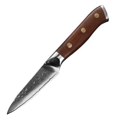 China 3.5 Inch Disposable Japan VG10 Damascus 67 Layers Cocobolo Steel Material Anti-Slip Handle Steak Knife Kitchen Cooking for sale