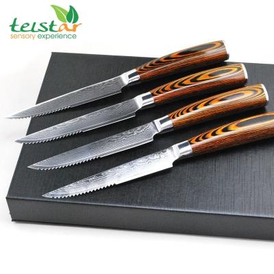 China Viable 4.5 Inch Steak Knife Japanese VG-10 Damas 67 Seats Premium Steak Knife for sale