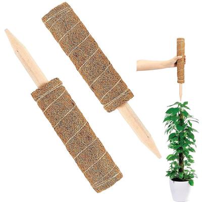 China Factory Design Extra Support 2021 Hot Sale Customizable Freestanding Garden 12//15/16/23Inch Packing 30/40/50/60cm Moss Pole for sale