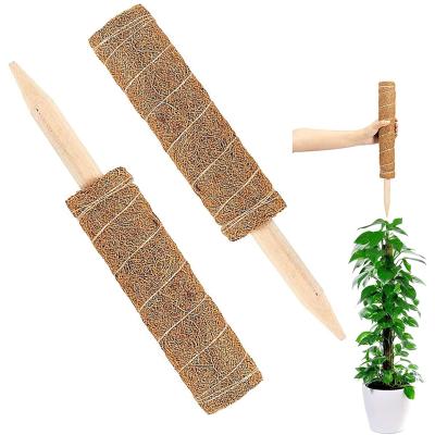 China Extra Stackable Plant Support 30/40/50/60cm Coir Pole For Garden Plants Made Of Coir Coconut Coir Fiber Poles for sale